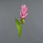 Artificial flower: Turmeric LAROUCO, pink, 75cm, Ø8cm