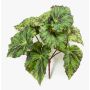 Artificial plant: leaf begonia 'MEIRA' on a stick, green and black, 10"/25cm