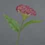 ANUBIS artificial cockscomb, pink, 60cm, Ø14cm