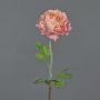 Artificial ranunculus ELORIO, pink-cream, 50 cm, Ø 10 cm