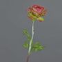 ELORIO artificial ranunculus, pink-green, 50 cm, Ø 10 cm