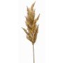 Decorative Pampas Grass Panicle BATERNO, light brown, 90cm
