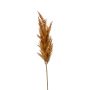 Decorative Pampas Grass Panicle Branch BATERNO, brown, 90cm