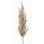 Decorative Pampas Grass Panicle Branch BATERNO, cream, 115cm