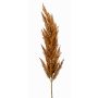 Decorative Pampas Grass Panicle Branch BATERNO, brown, 115cm