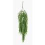 Artificial plant, Rhipsalis succulent hanging plant TALIGA on a stake, green, 31"/80cm