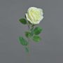 Artificial rose PEZOS, cream, 60cm, Ø10cm