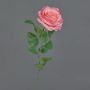Artificial rose PEZOS, pink, 60cm, Ø10cm