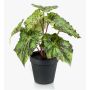 Artificial plant: leaf begonia MEIRA, green and black, 10"/25cm