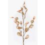 Decorative Lunaria BUELNA branch, light brown, 3ft/105cm