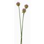 Decorative Allium bunch LAMDA, purple-green, 65cm, Ø4cm