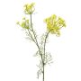 Decorative sprig of dill flowers ALRESCHA, yellow, 85 cm