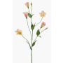 Artificial lisianthus branch PAZAN, pink-cream, 70 cm, Ø 3–5 cm