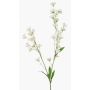 Decorative buttercup branch LOTA, cream, 90 cm, Ø 3–4 cm
