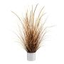 Decorative grass Sedge WARTO in melamine pot, panicles, brown-beige, 30"/75cm