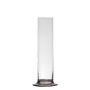Single flower vase ABIRAMY made of glass, with stand, clear, 6"/15cm, Ø2.4"/6cm