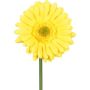 Decorative flower Gerbera TUNZA, yellow, 20"/50cm