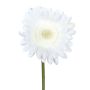 Decorative flower Gerbera TUNZA, white, 20"/50cm