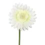 Decorative flower Gerbera TUNZA, cream, 20"/50cm