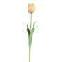 Decorative flower Parrot tulip SOLAL, apricot, 26"/65cm