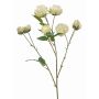 TRUVOL cabbage rose decorative branch, white-green, 65cm, Ø2–6cm