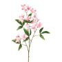 Artificial ceratopetalum branch FRAVON, pink, 28"/70cm