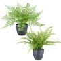 Artificial Fern Mix REFIL, Sword Fern, Lady’s Hair Fern, 2 pieces, decorative pot, green, 30cm, Ø35cm