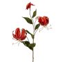 Velvety Gloriosa branch DINFAS, dark orange-gold, 80 cm