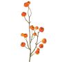 Decorative branch of ornamental apple NONGIH with fruit, orange, 60cm