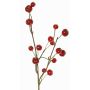 Decorative branch, ornamental apple NONGIH with fruit, dark red, 24"/60cm