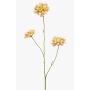 Artificial scabiosa branch DIHALLY, yellow-peach, 80 cm, Ø 8–9 cm