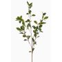 Artificial spindle tree branch LOVRIS with flowers, green-yellow, 35"/90cm