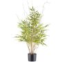Decorative tree Japanese arrow bamboo EDENA, natural stems, 3ft/90cm