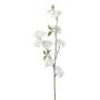 Decorative Japanese flowering cherry branch FYNLOK with flowers, white, 30"/75cm