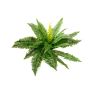 False Boston fern MANON, spike, green, 20"/50cm