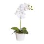 False Phalaenopsis orchid TRALKE, decorative pot, roots, white, 16"/40cm