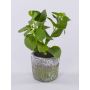 Artificial herbs: Mint POLINDA in a decorative pot, green, 26cm