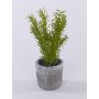 Artificial herbs: Rosemary POLINDA in a decorative pot, green, 26cm
