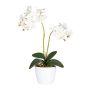 False Phalaenopsis orchid FRUXO, ceramic pot, roots, white, 20"/50cm