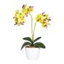 False Phalaenopsis orchid FRUXO, ceramic pot, roots, green, 20"/50cm