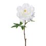 Plastic flower Peony GLOUT, white, 26"/65cm