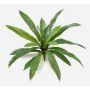 Artificial Asplenium JANE, green, 40cm