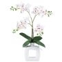 False Phalaenopsis orchid DRUKLON, ceramic vase, roots, white-red, 16"/40cm