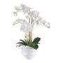 False Phalaenopsis orchid STONFER, white decorative pot, roots, white, 28"/70cm