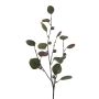False branch of eucalyptus TRAVON with fruits, green, 30"/75cm