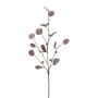 False branch of eucalyptus TRAVON with fruits, aubergine, 24"/60cm