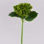 Faux hydrangea MYNMAR, green, 14"/35cm, Ø5.5"/14cm