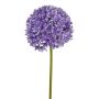 Decorative flower Allium KLATE, purple, 3ft/90cm
