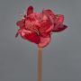 Velvet amaryllis decorative flower KIRSTY, red, 70cm, Ø13–15cm