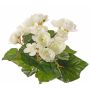 Artificial begonia ‘BIRMA’ on a stem, cream, 20 cm, Ø 3–5 cm